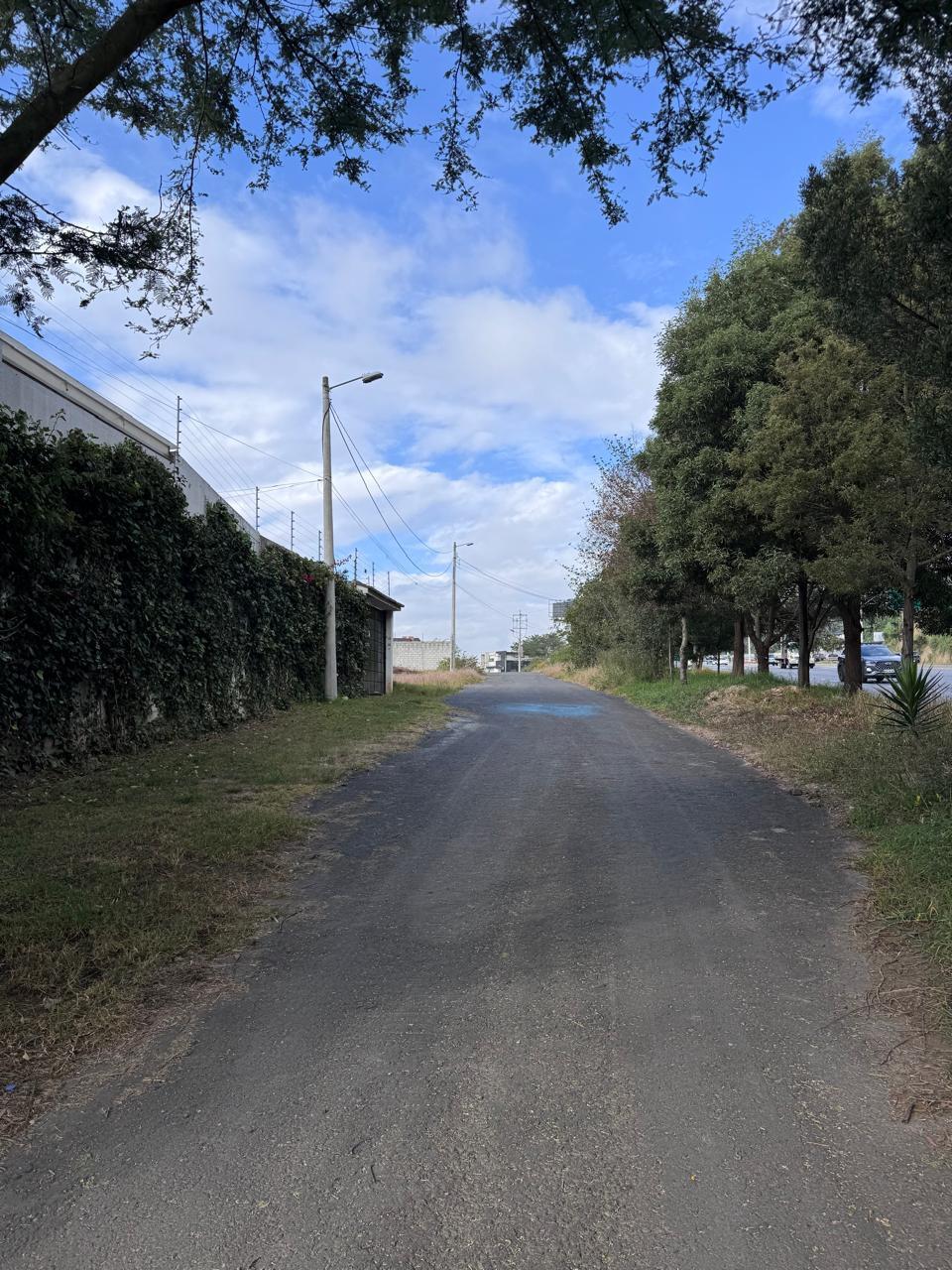 Land on Ruta Viva, 1624 m2