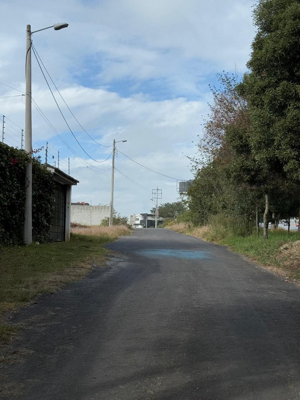 Land on Ruta Viva, 1624 m2