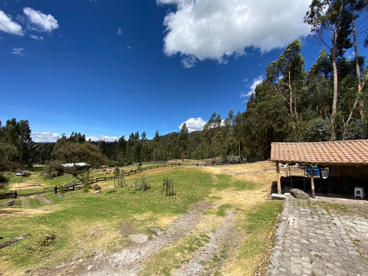Farm in Pasochoa 16 ha