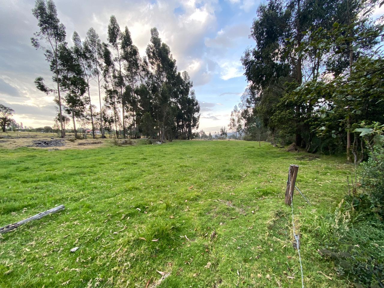 Farm in Pasochoa 16 ha
