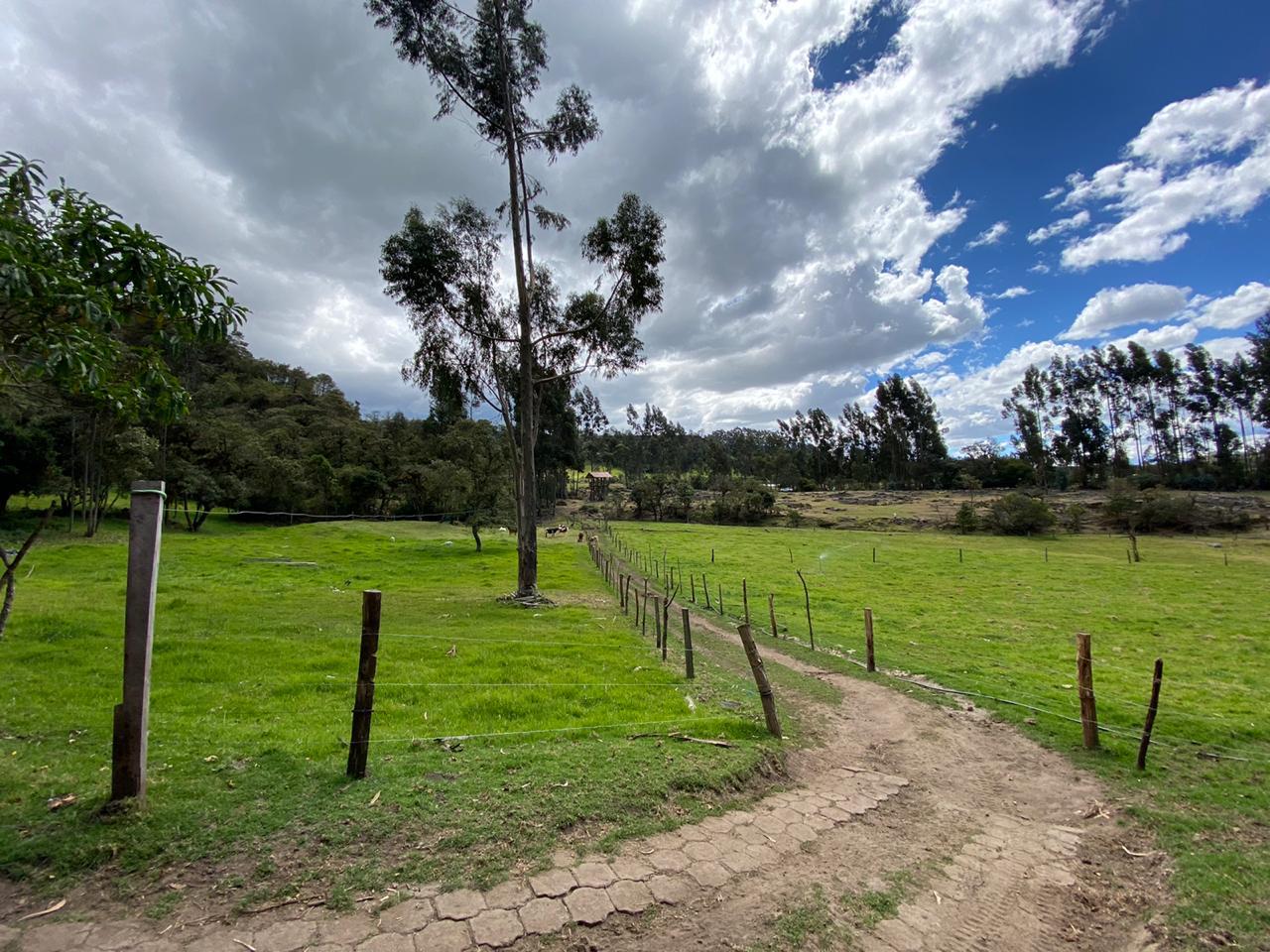 Farm in Pasochoa 16 ha