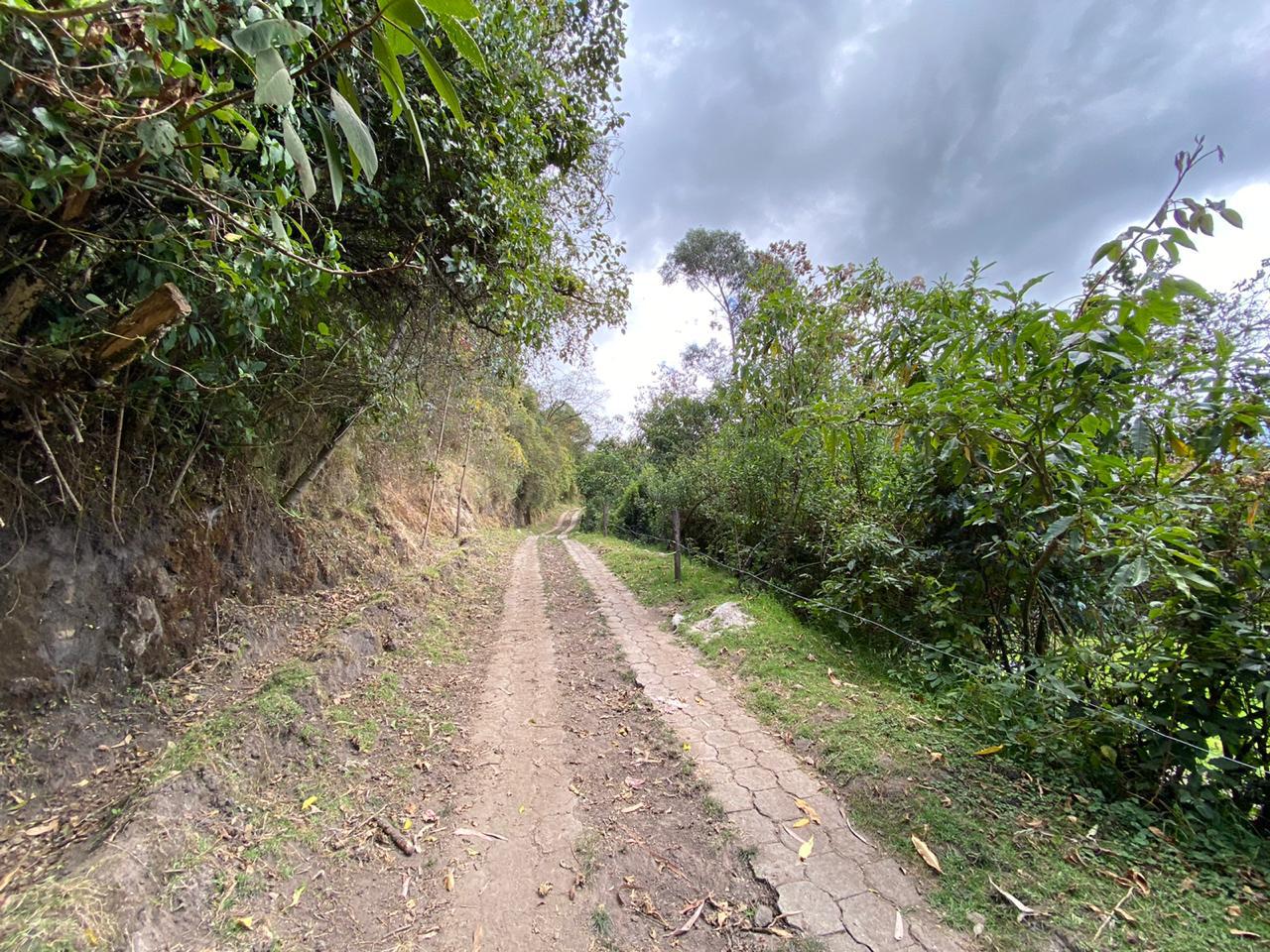 Farm in Pasochoa 16 ha