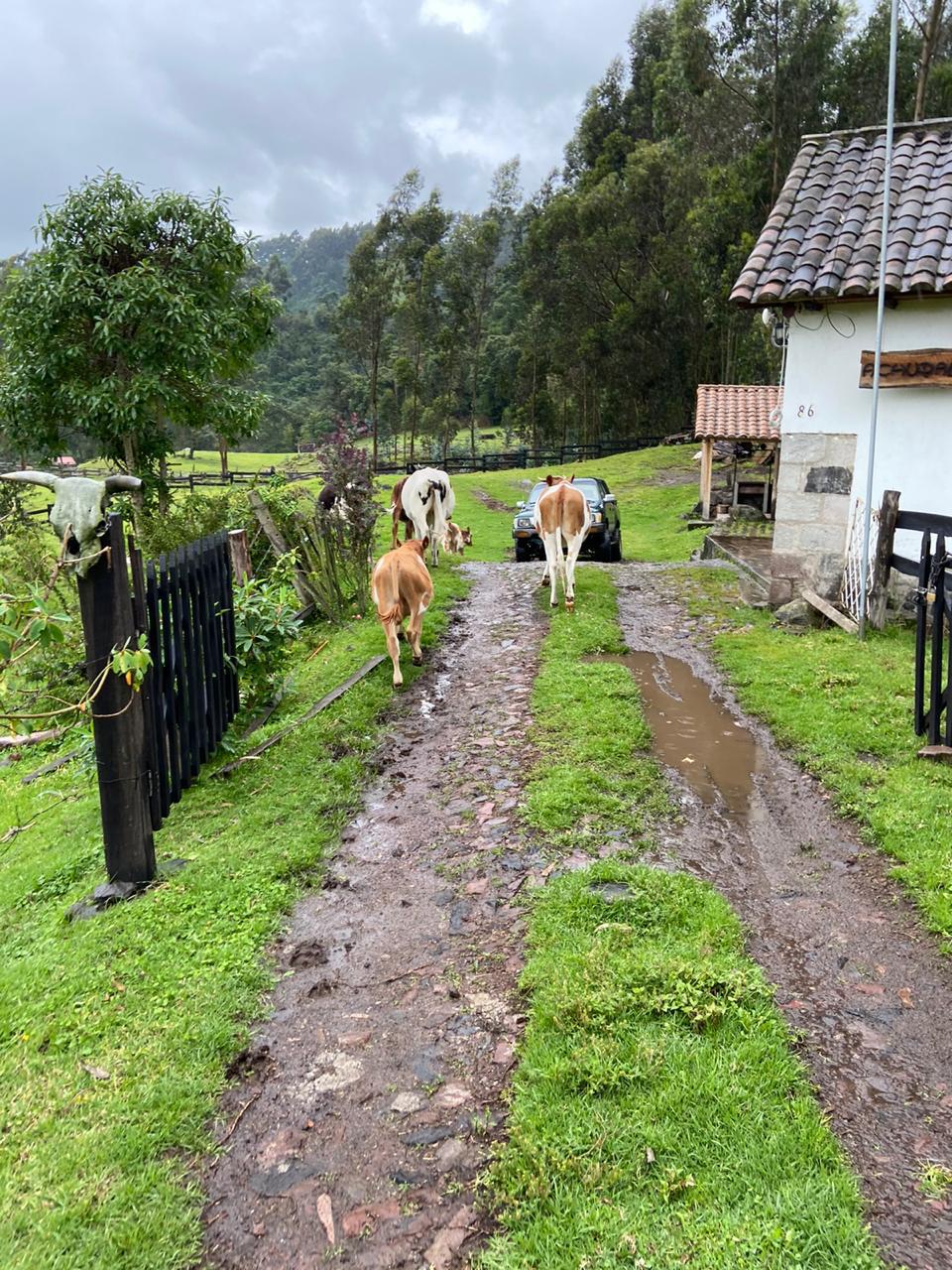 Farm in Pasochoa 16 ha
