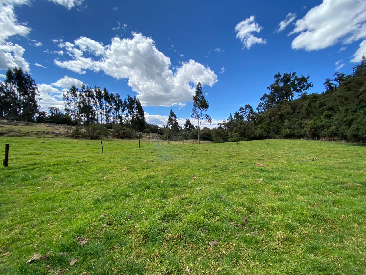 Farm in Pasochoa 16 ha