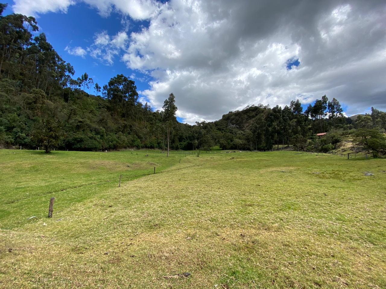 Farm in Pasochoa 16 ha