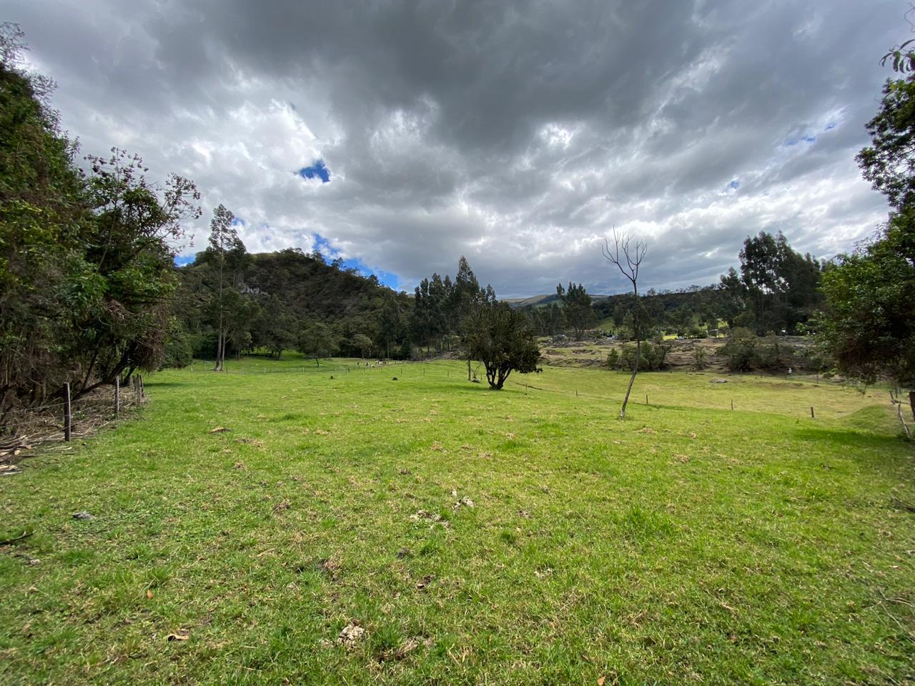 Farm in Pasochoa 16 ha