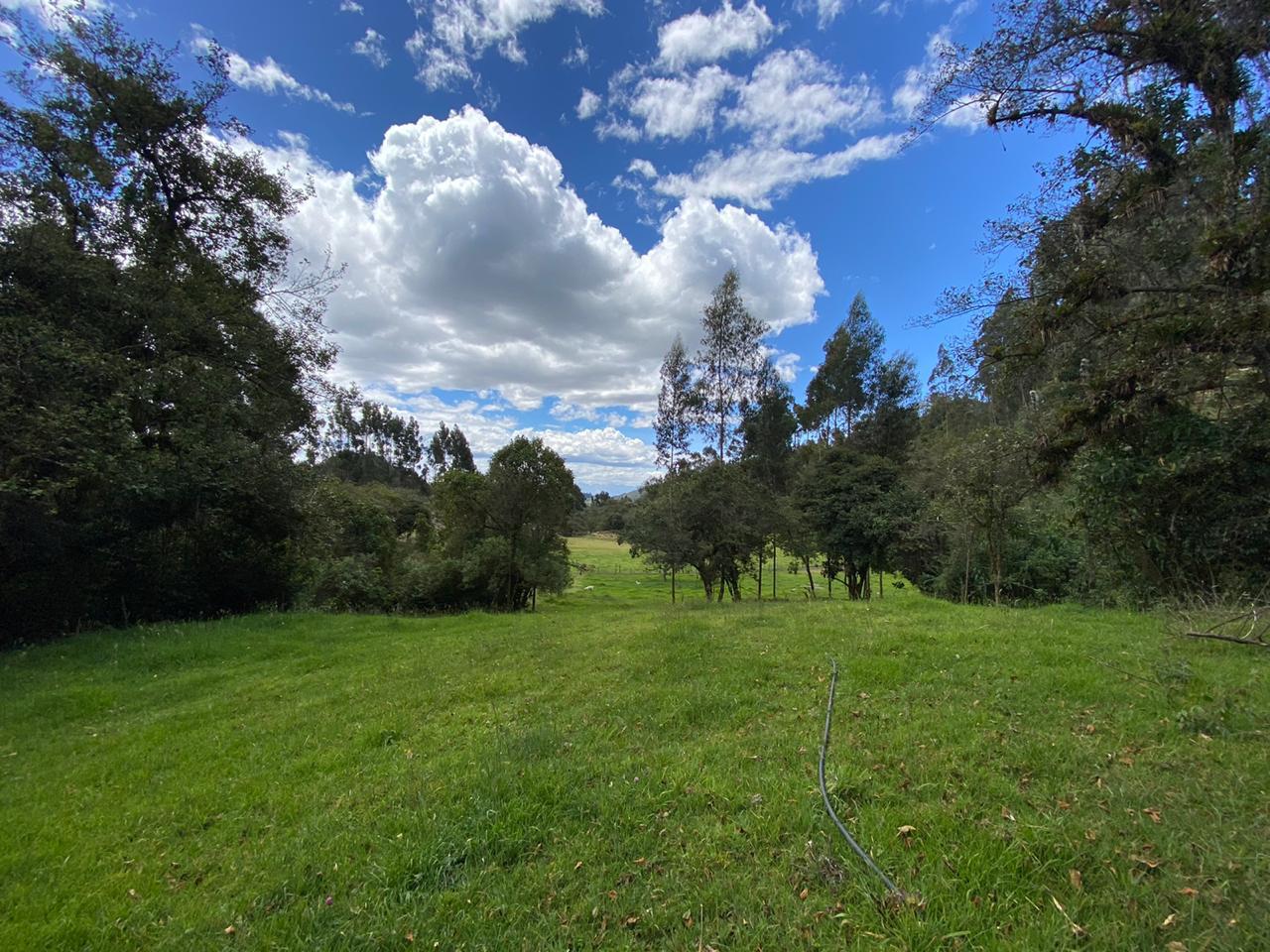 Farm in Pasochoa 16 ha