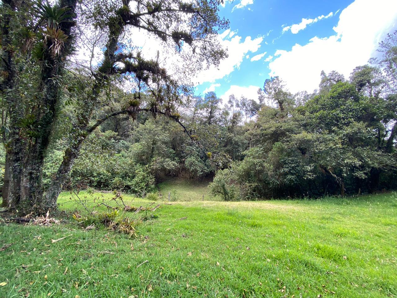 Farm in Pasochoa 16 ha