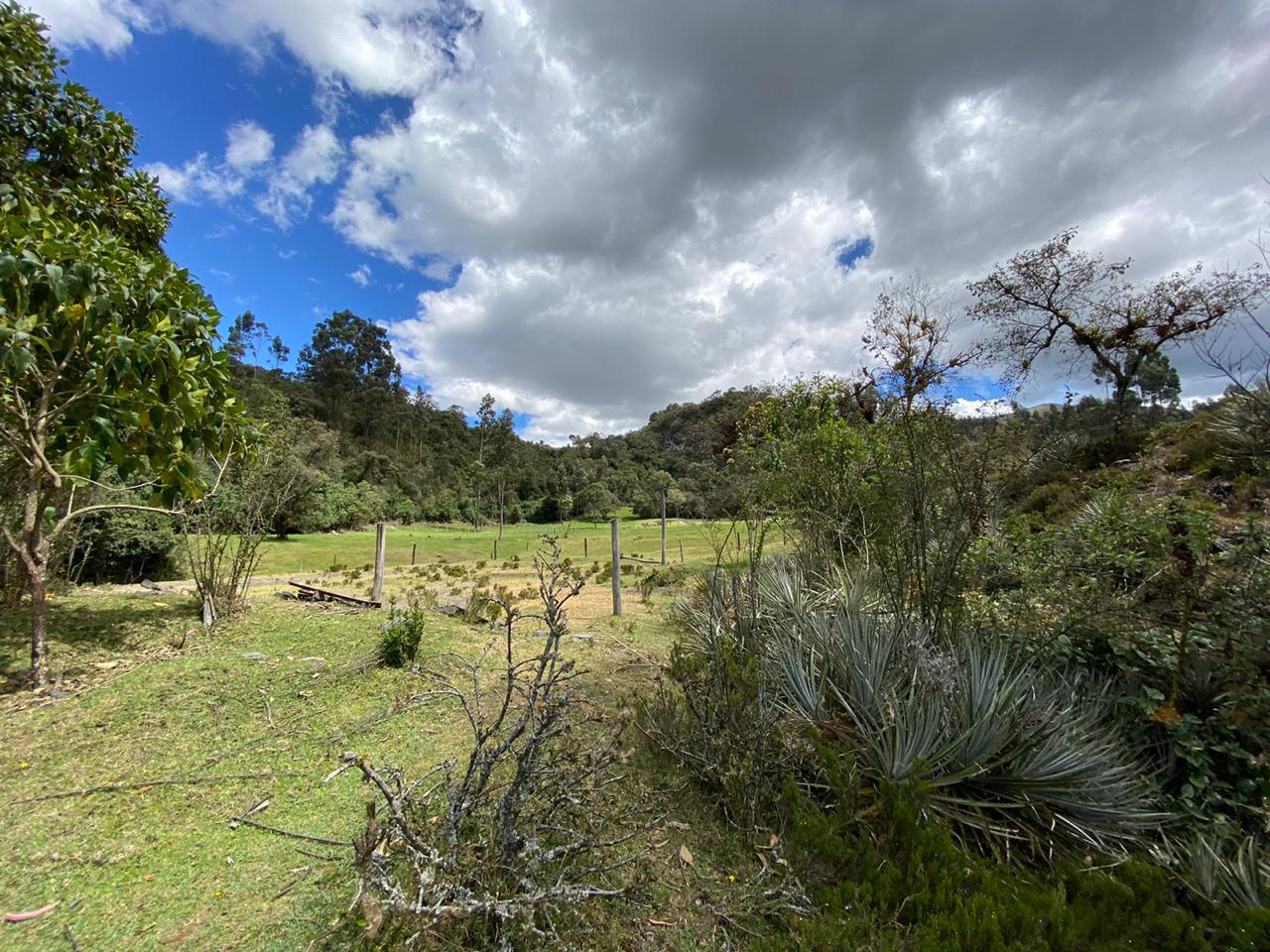 Farm in Pasochoa 16 ha