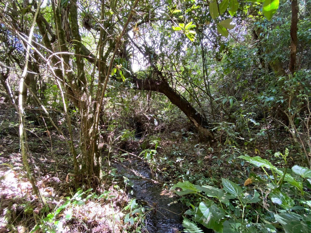 Farm in Pasochoa 16 ha