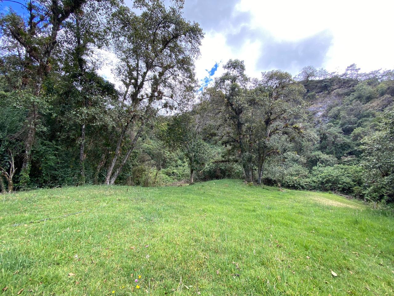 Farm in Pasochoa 16 ha
