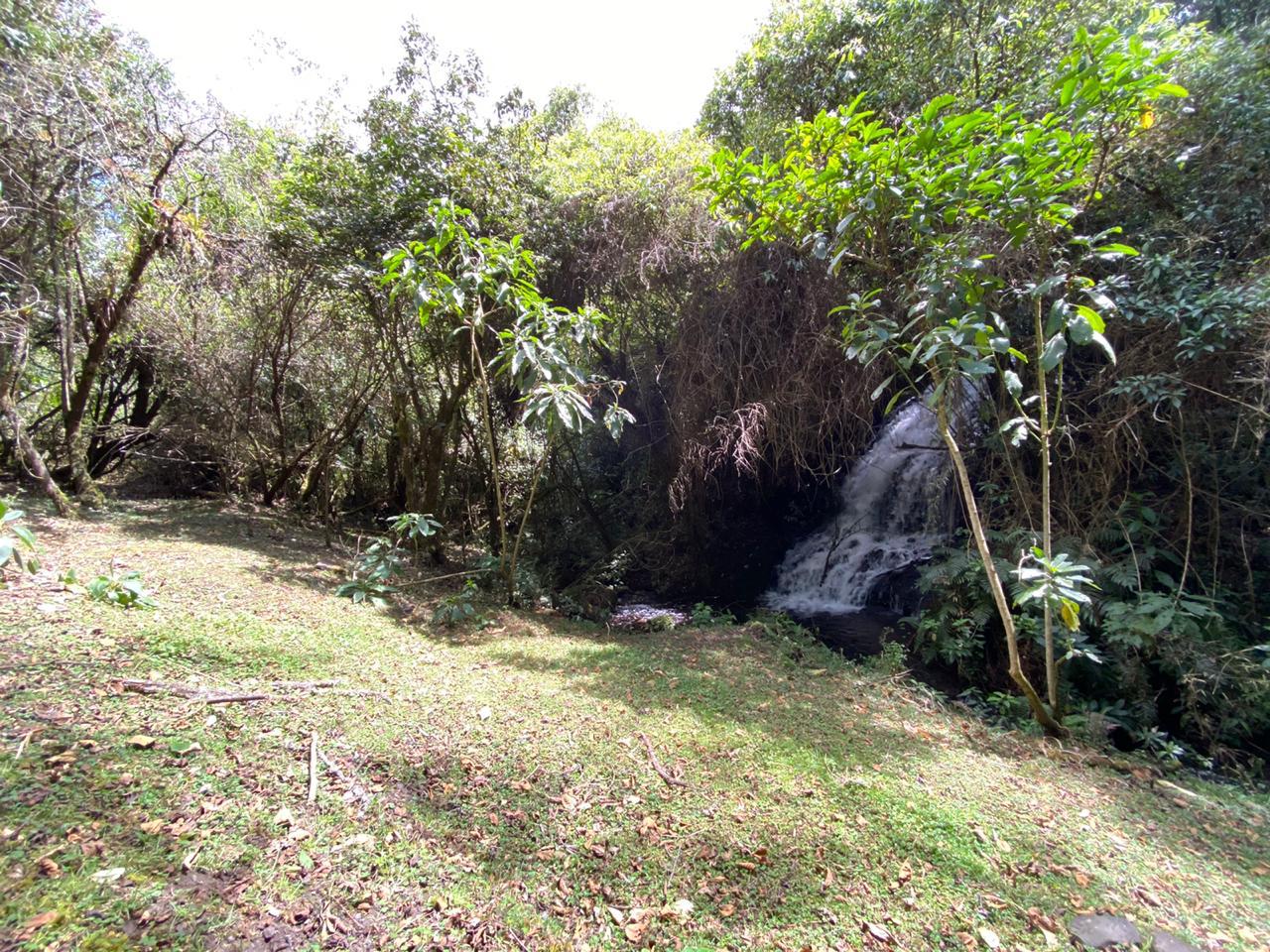 Farm in Pasochoa 16 ha