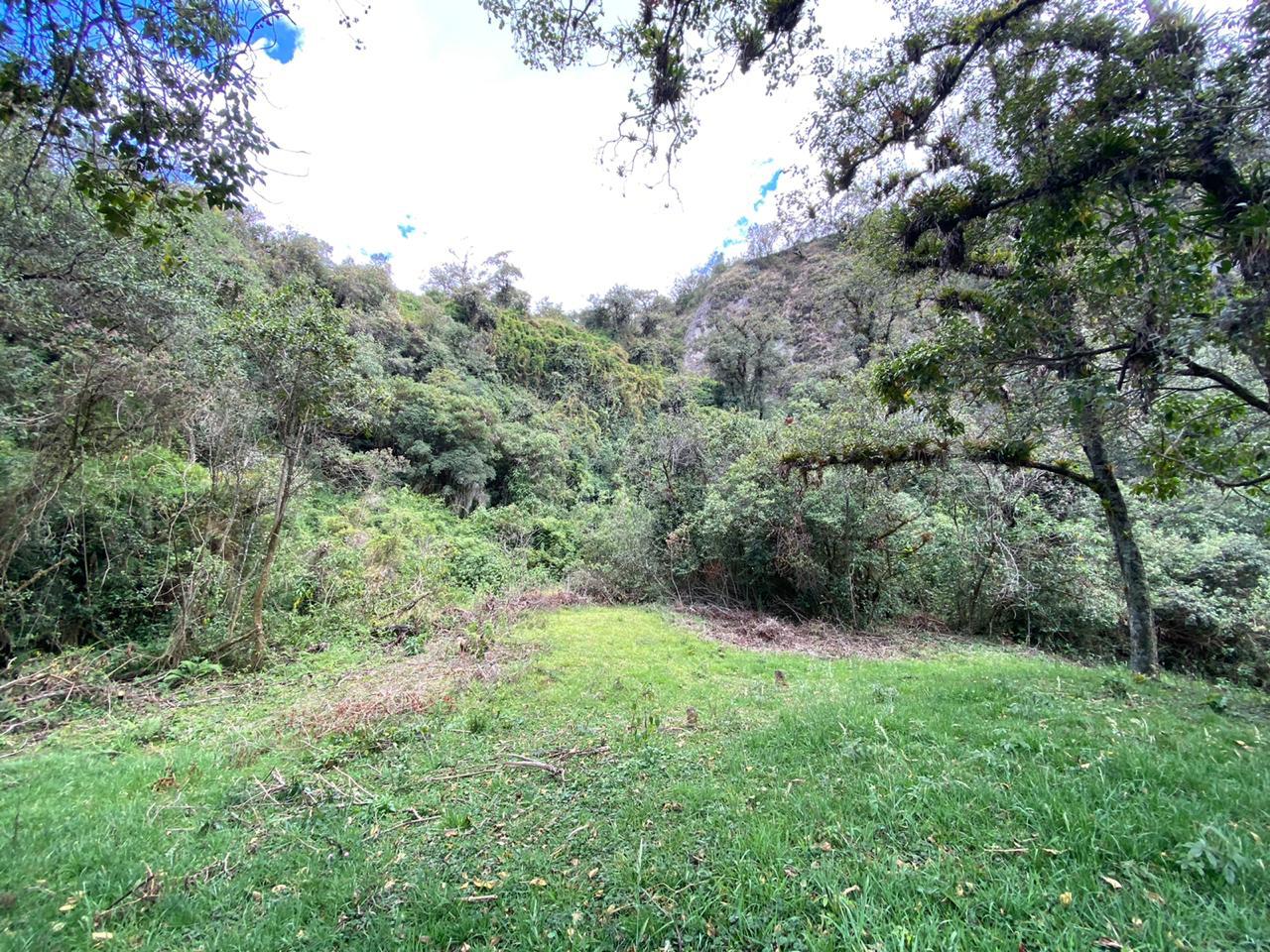 Farm in Pasochoa 16 ha