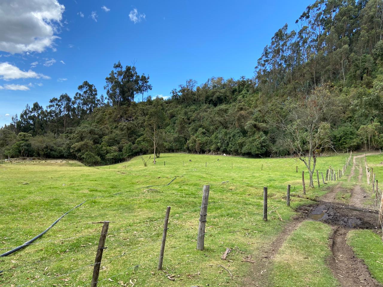 Farm in Pasochoa 16 ha