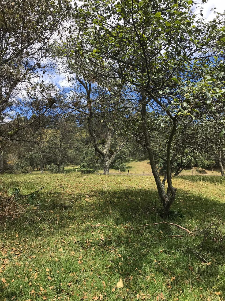 Farm in Pasochoa 16 ha