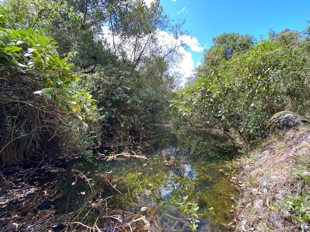 Farm in Pasochoa 16 ha