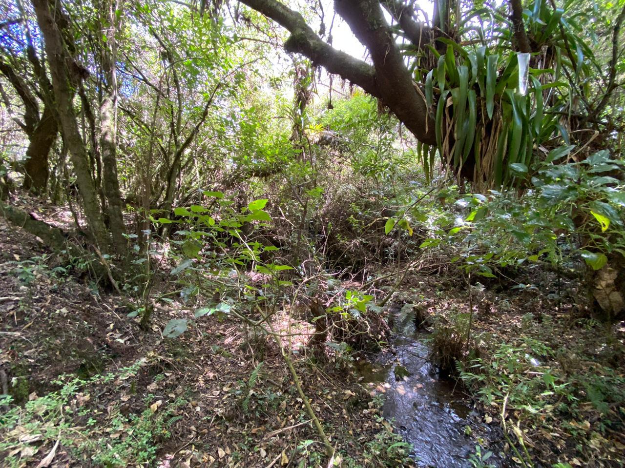 Farm in Pasochoa 16 ha