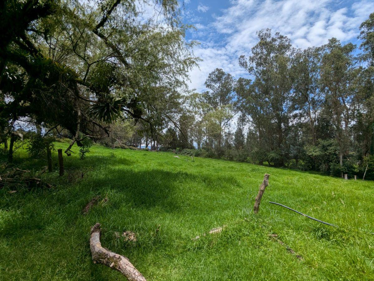 Farm in Cotogchoa - Rumiñahui 1.88 ha