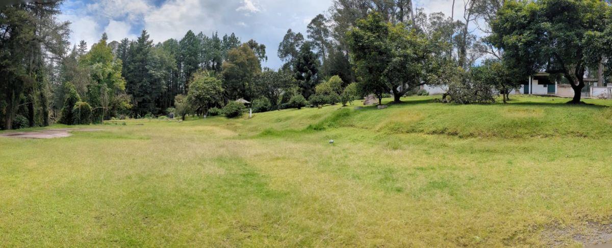 Farm in Cotogchoa - Rumiñahui 1.88 ha