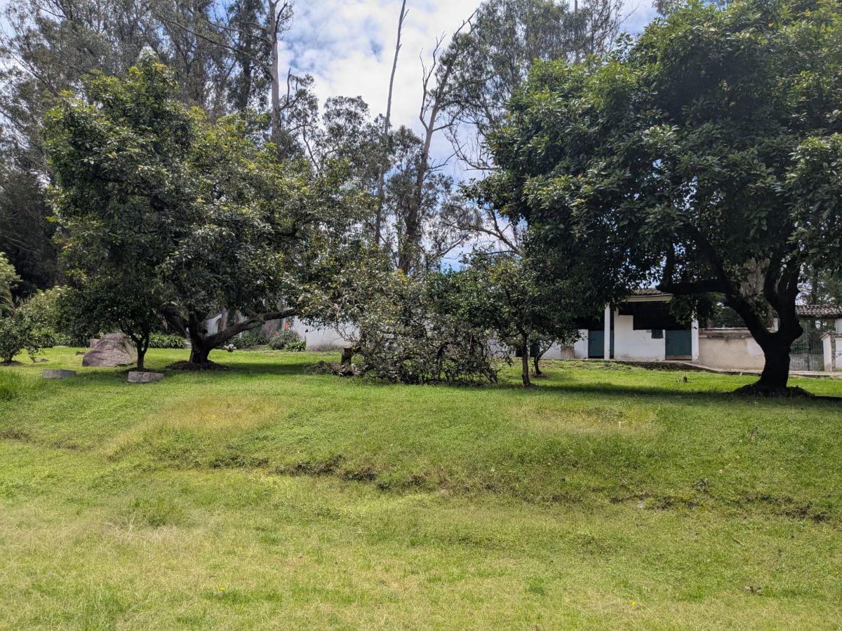 Farm in Cotogchoa - Rumiñahui 1.88 ha