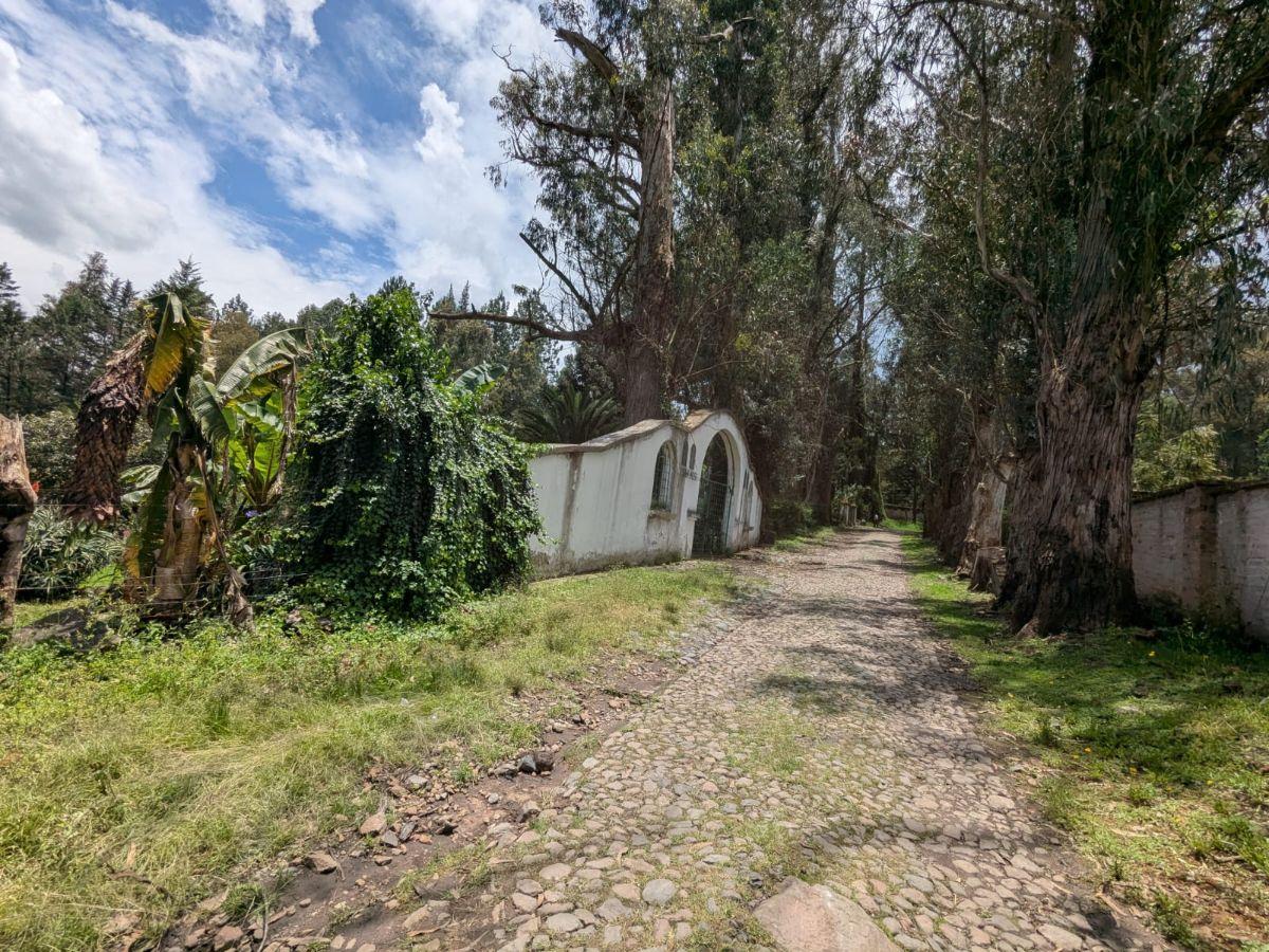Farm in Cotogchoa - Rumiñahui 1.88 ha