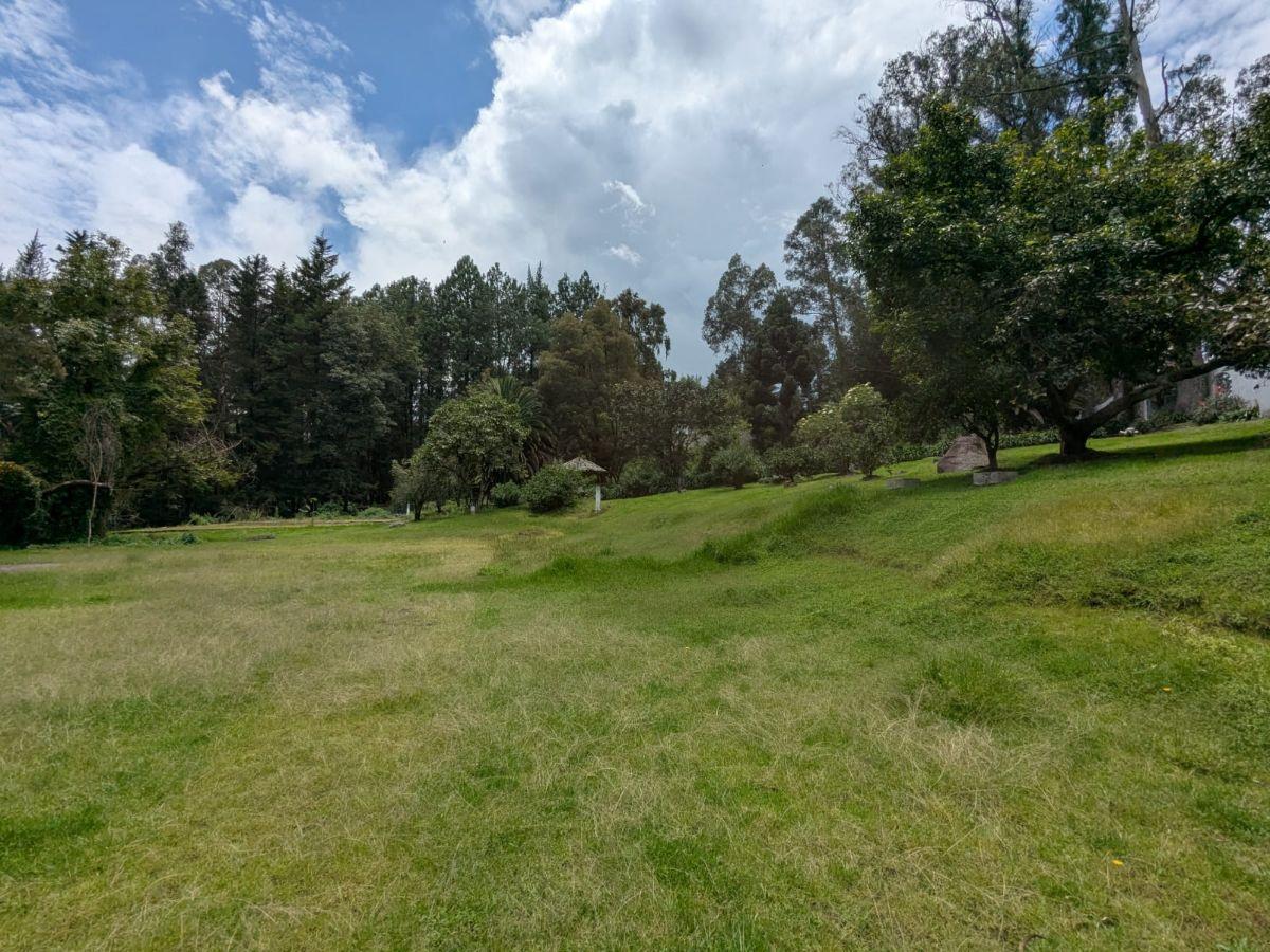 Farm in Cotogchoa - Rumiñahui 1.88 ha