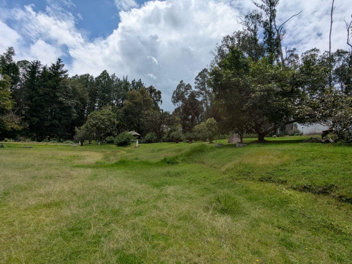 Farm in Cotogchoa - Rumiñahui 1.88 ha