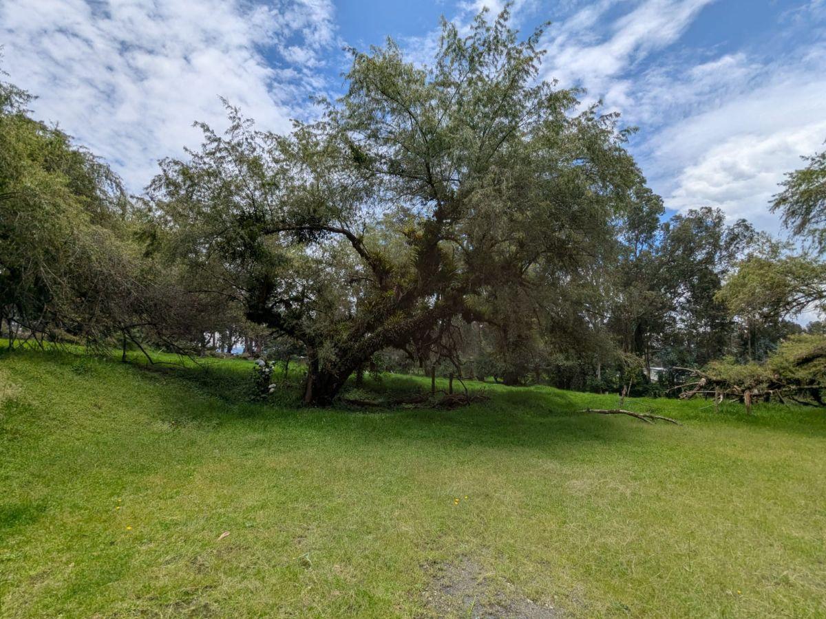 Farm in Cotogchoa - Rumiñahui 1.88 ha