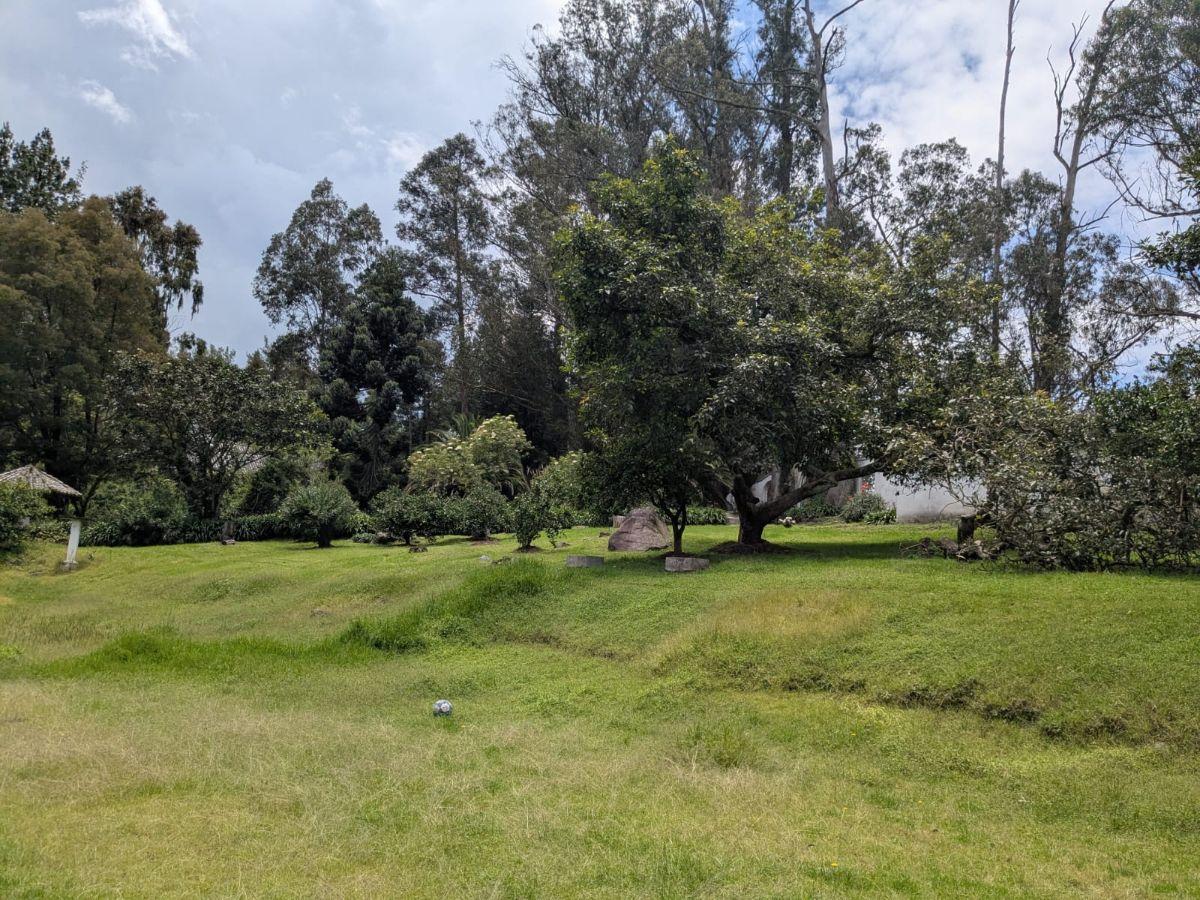 Farm in Cotogchoa - Rumiñahui 1.88 ha