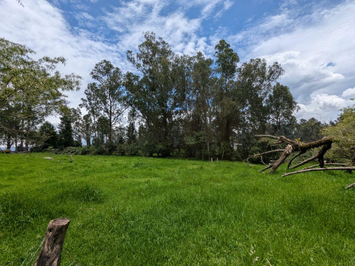 Farm in Cotogchoa - Rumiñahui 1.88 ha