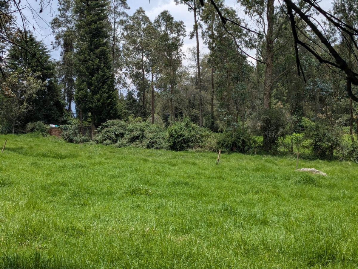 Farm in Cotogchoa - Rumiñahui 1.88 ha