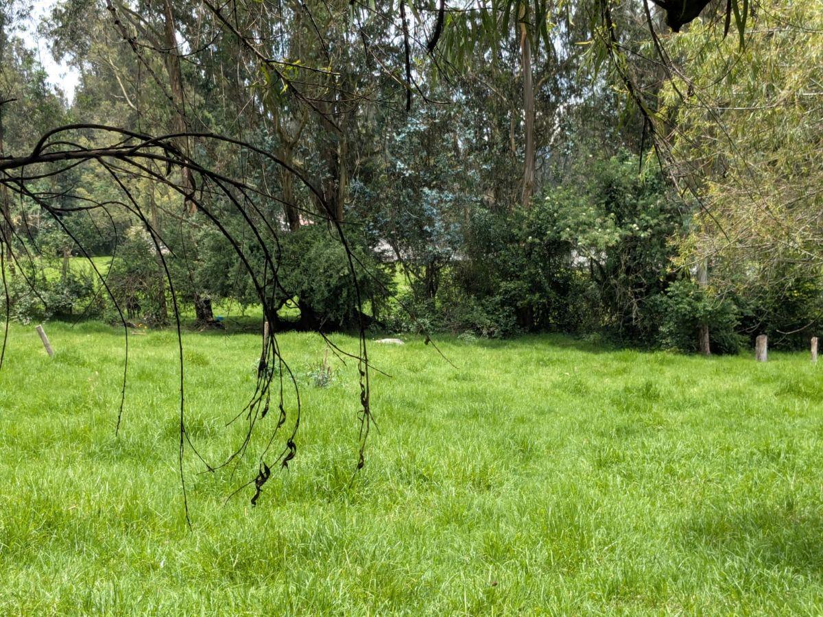 Farm in Cotogchoa - Rumiñahui 1.88 ha