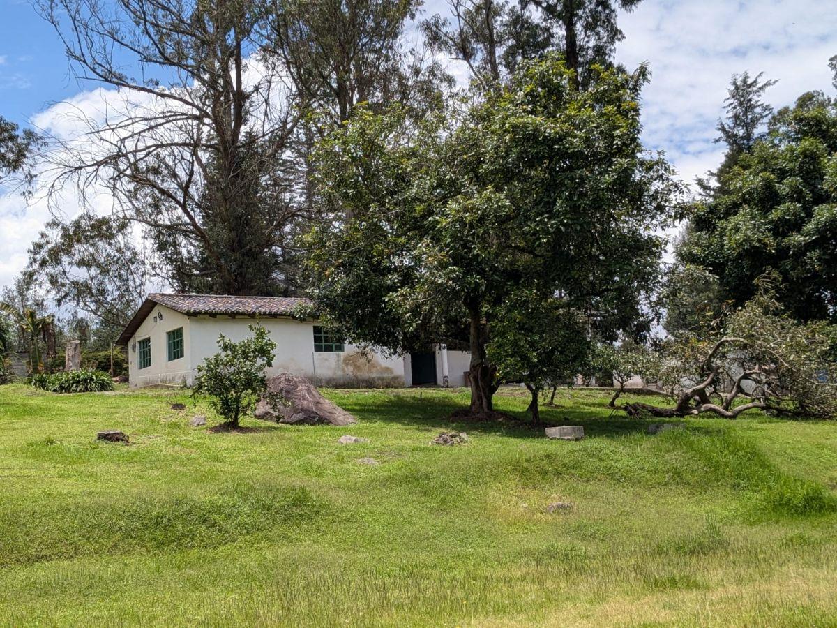 Farm in Cotogchoa - Rumiñahui 1.88 ha