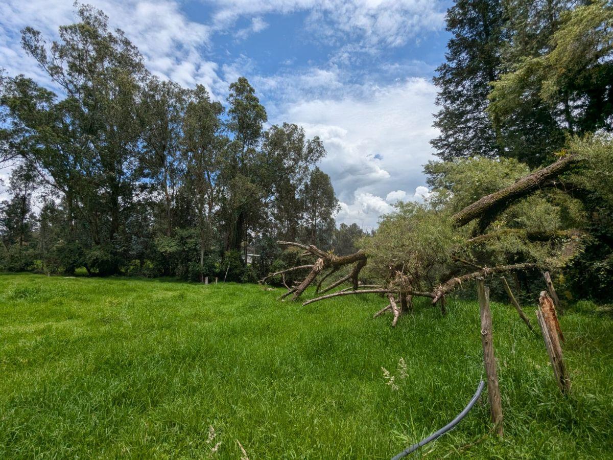 Farm in Cotogchoa - Rumiñahui 1.88 ha