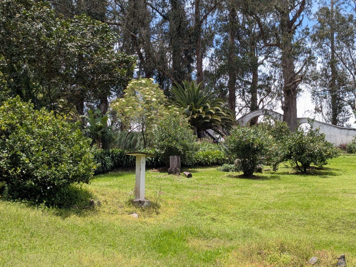 Farm in Cotogchoa - Rumiñahui 1.88 ha