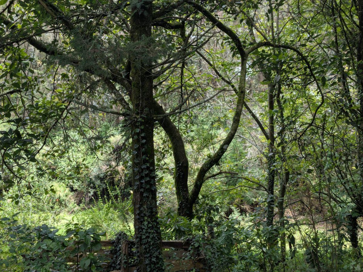 Farm in Cotogchoa - Rumiñahui 1.88 ha