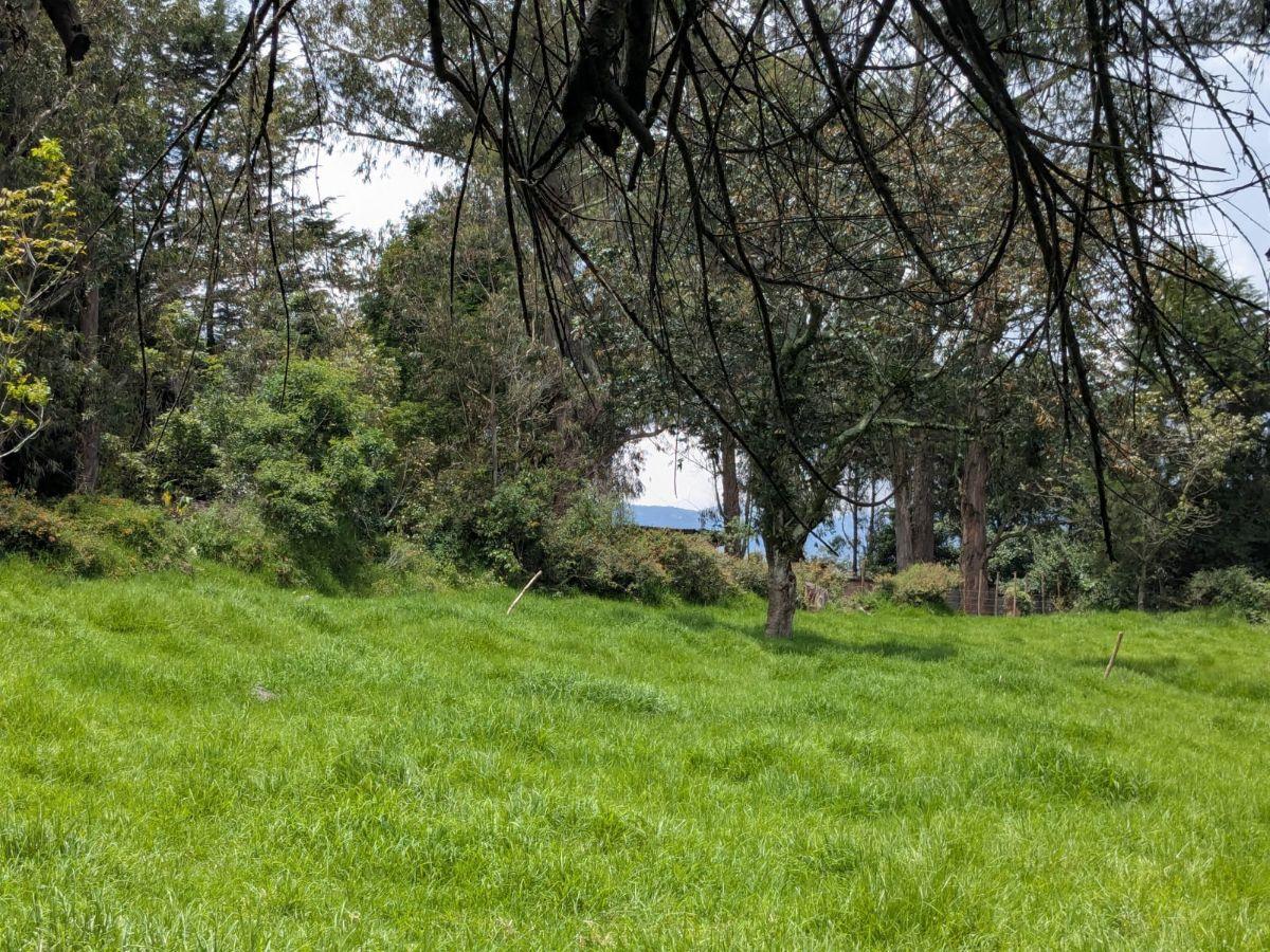 Farm in Cotogchoa - Rumiñahui 1.88 ha