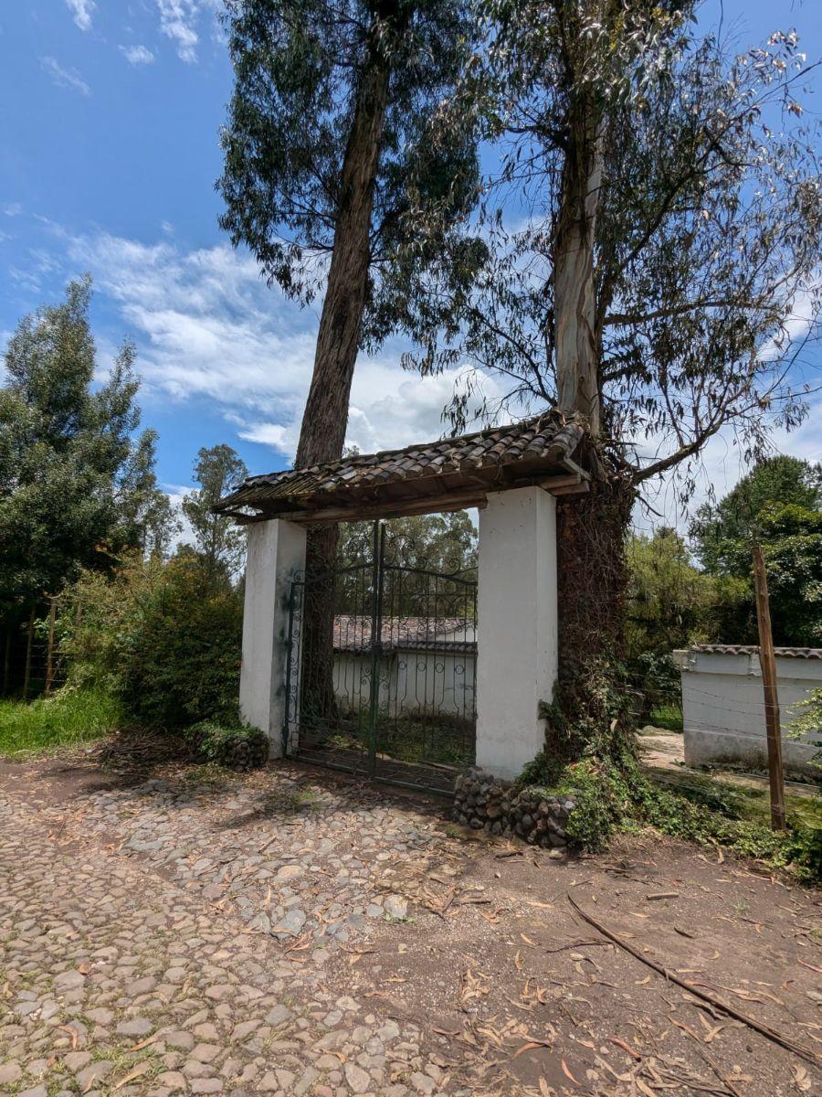 Farm in Cotogchoa - Rumiñahui 1.88 ha