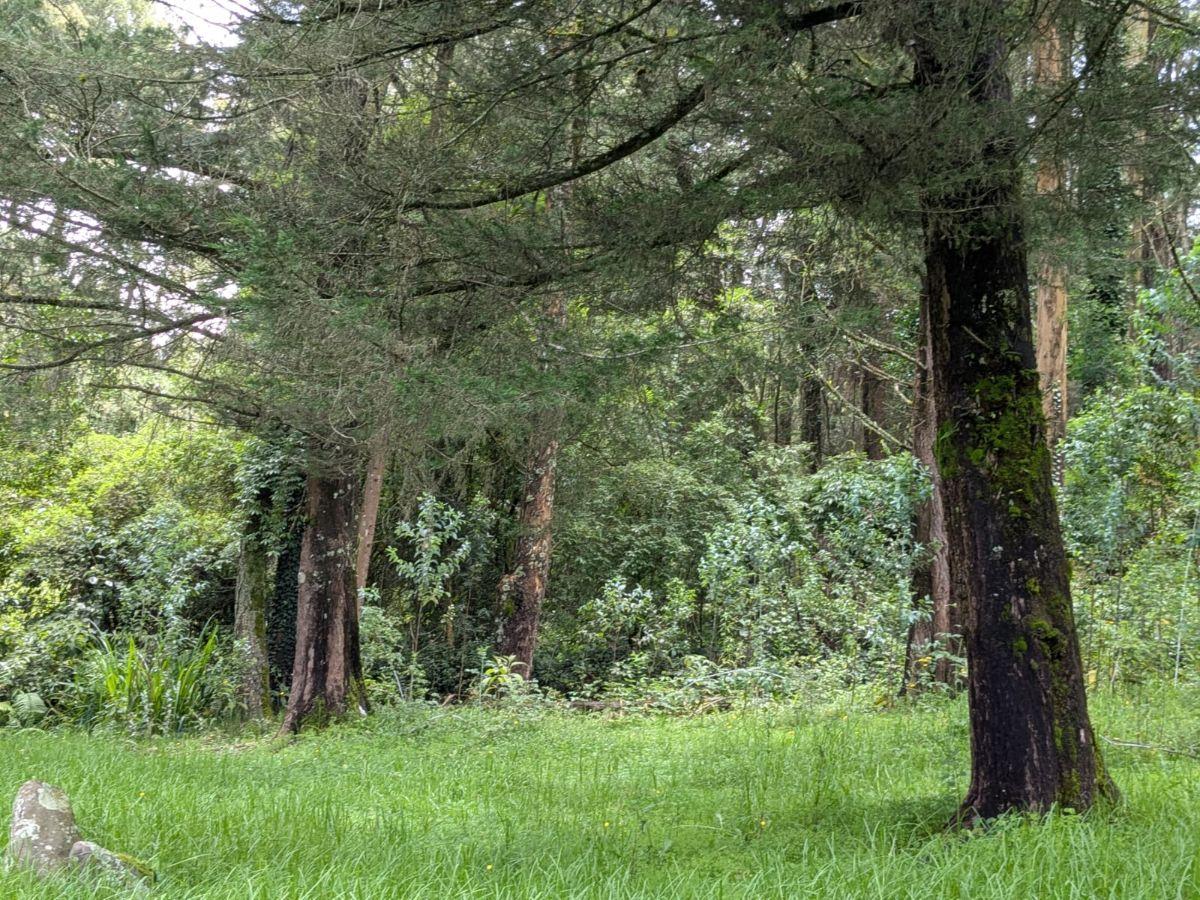 Farm in Cotogchoa - Rumiñahui 1.88 ha