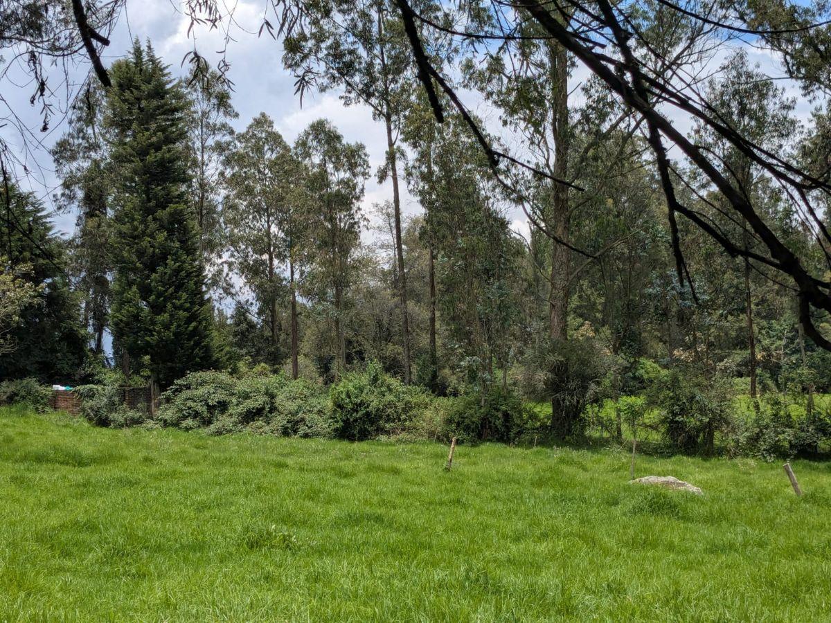 Farm in Cotogchoa - Rumiñahui 1.88 ha