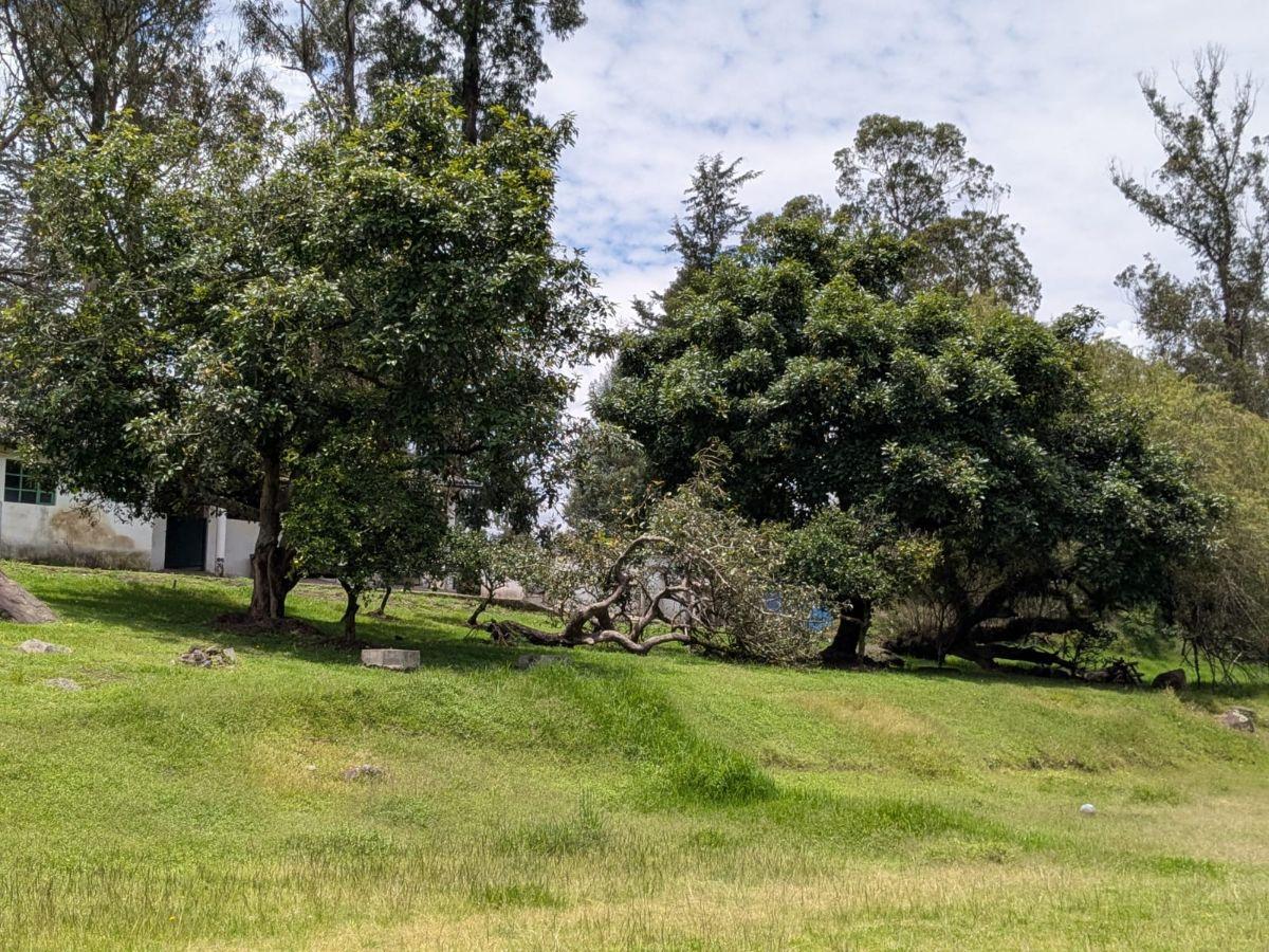 Farm in Cotogchoa - Rumiñahui 1.88 ha