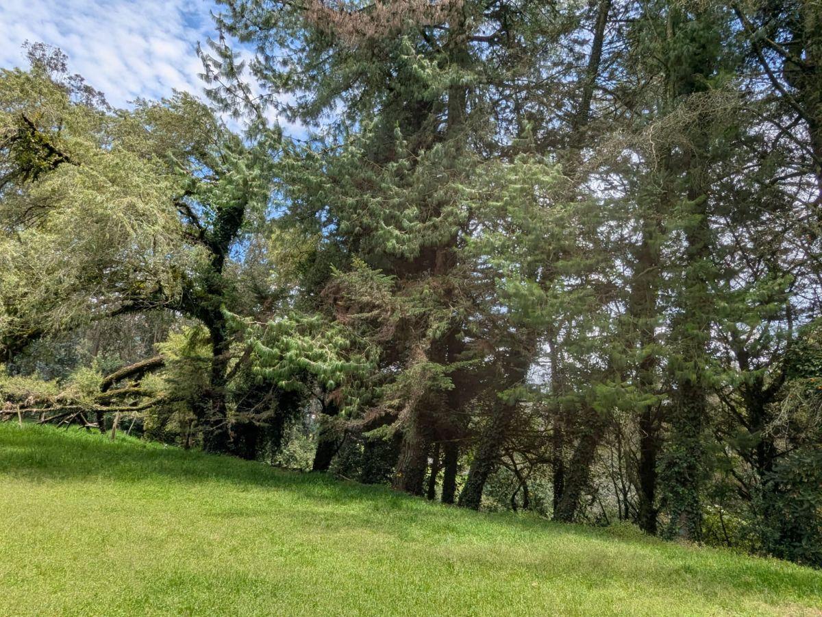 Farm in Cotogchoa - Rumiñahui 1.88 ha