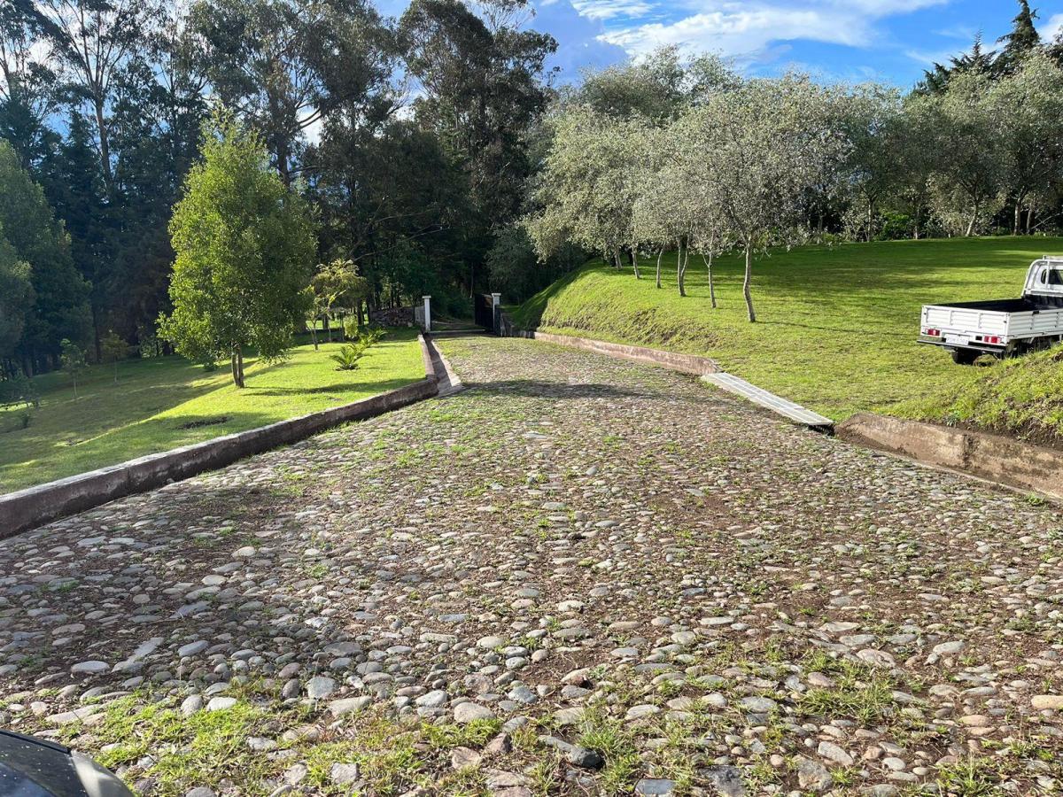 Land in Oyambarillo 1.9 ha