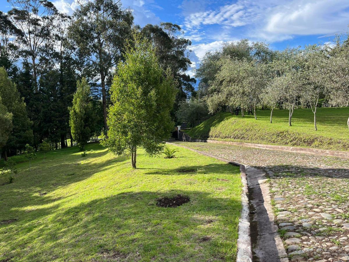 Land in Oyambarillo 1.9 ha