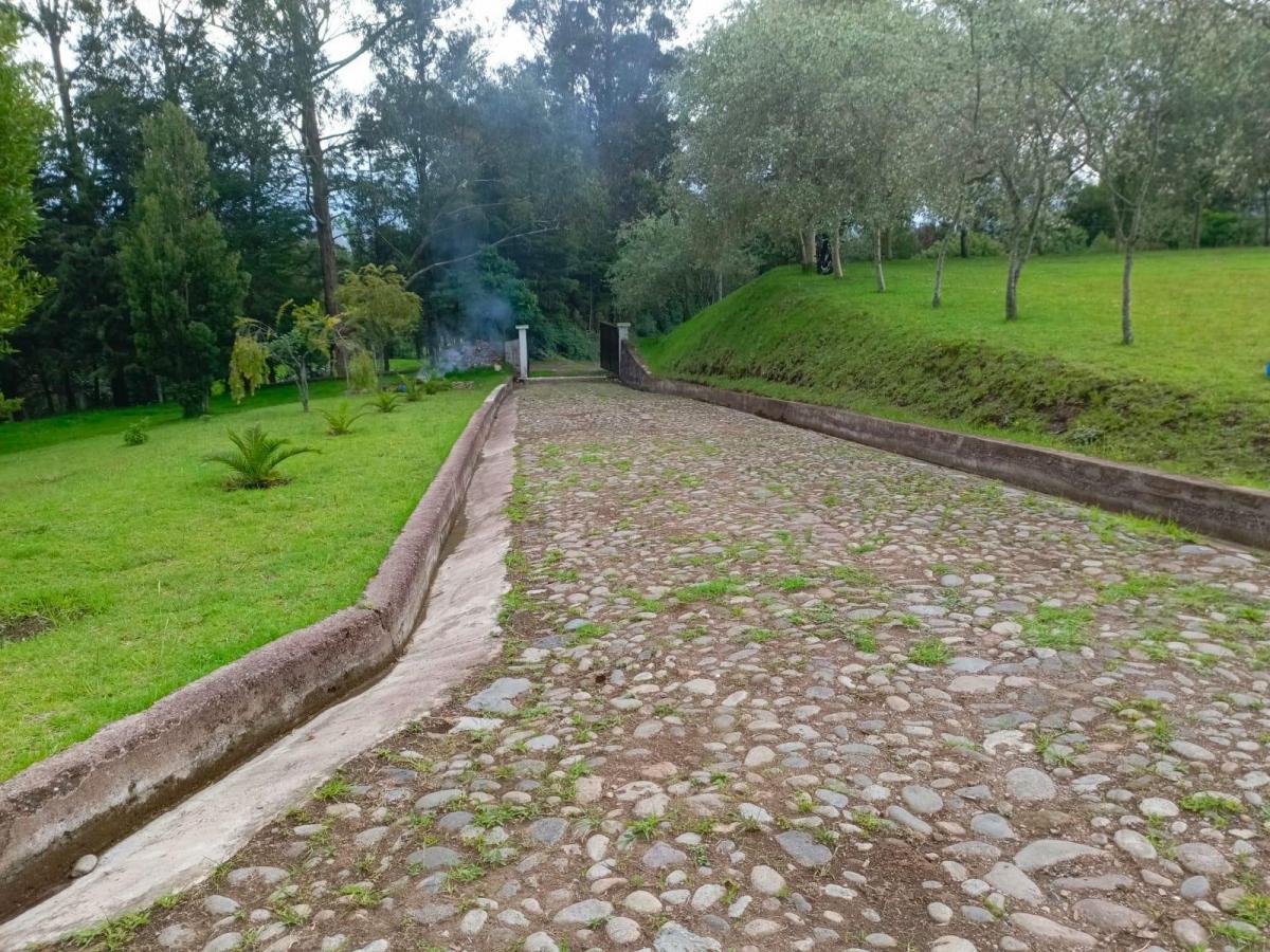 Land in Oyambarillo 1.9 ha