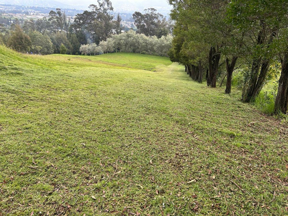 Land in Oyambarillo 1.9 ha