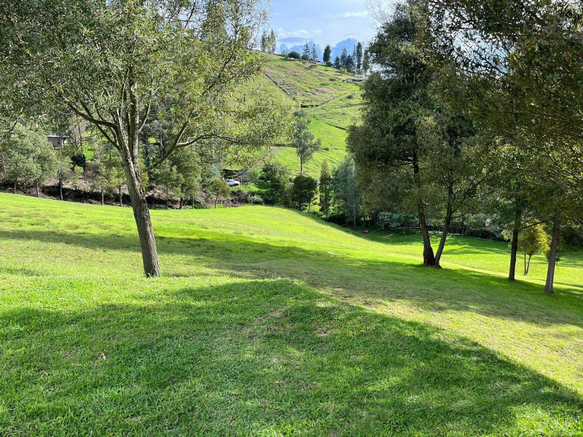 Land in Oyambarillo 1.9 ha