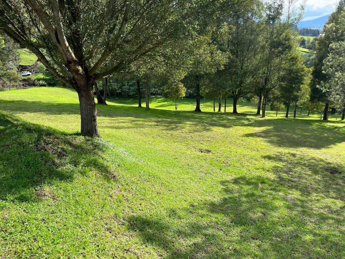 Land in Oyambarillo 1.9 ha