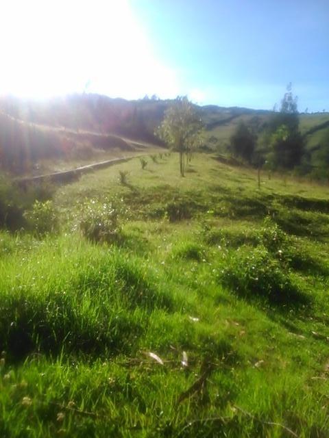 Land in Oyambarillo 1.9 ha