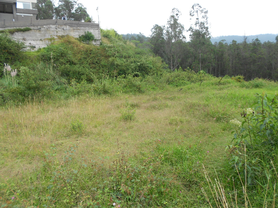 Land in Cumbaya - Yanazarapata 1570 m2